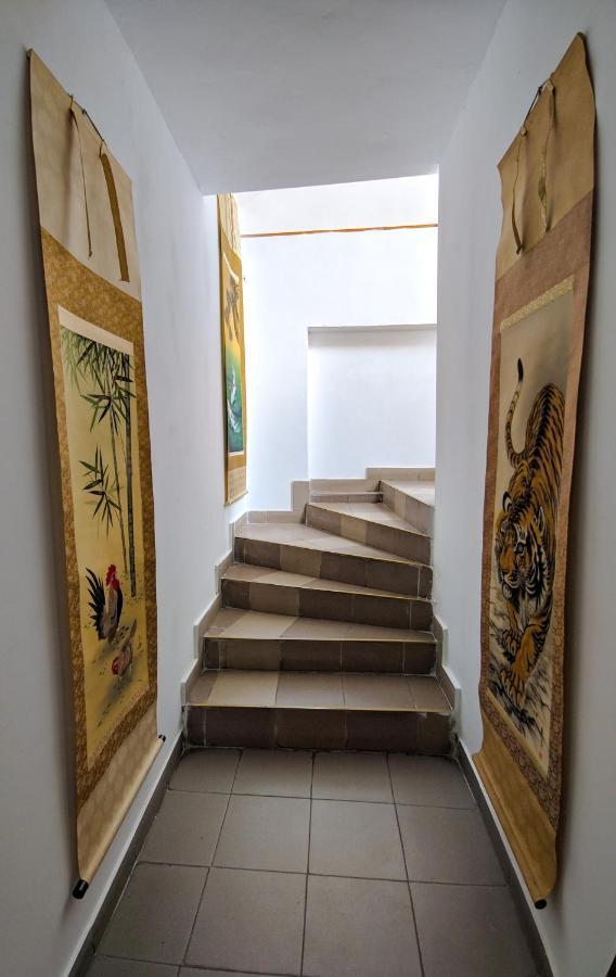 Pension Casa Samurai Braşov Exteriör bild