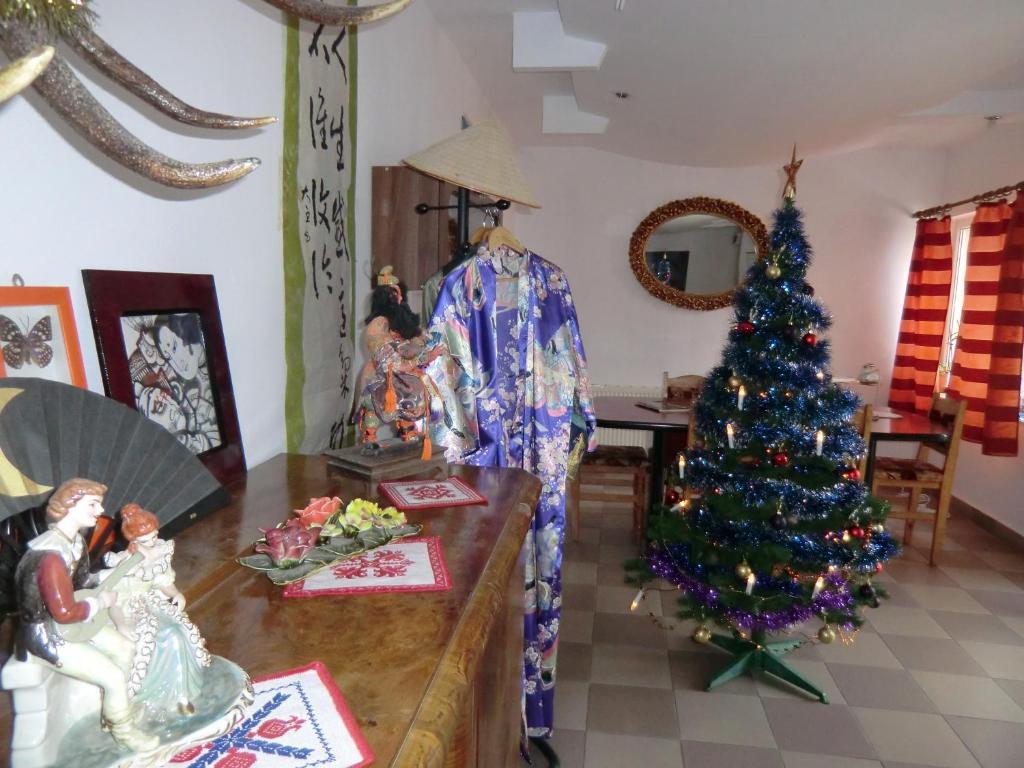 Pension Casa Samurai Braşov Exteriör bild