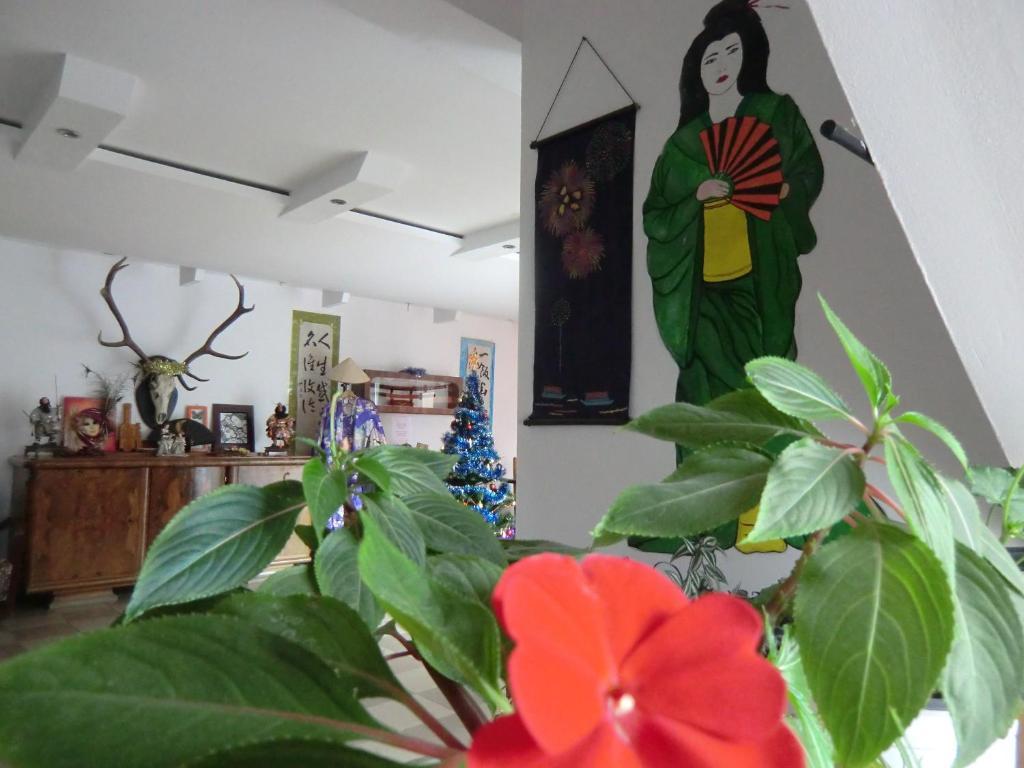 Pension Casa Samurai Braşov Exteriör bild