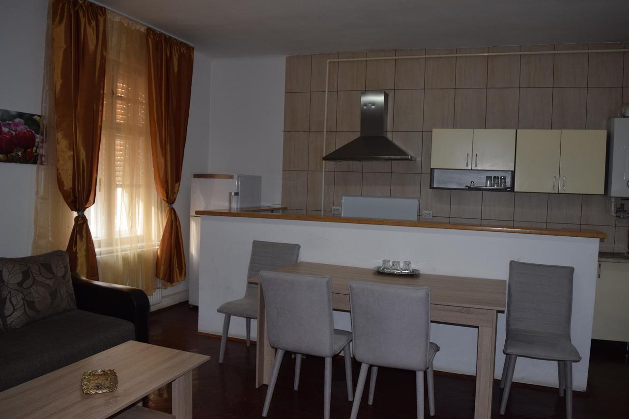 Pension Casa Samurai Braşov Exteriör bild