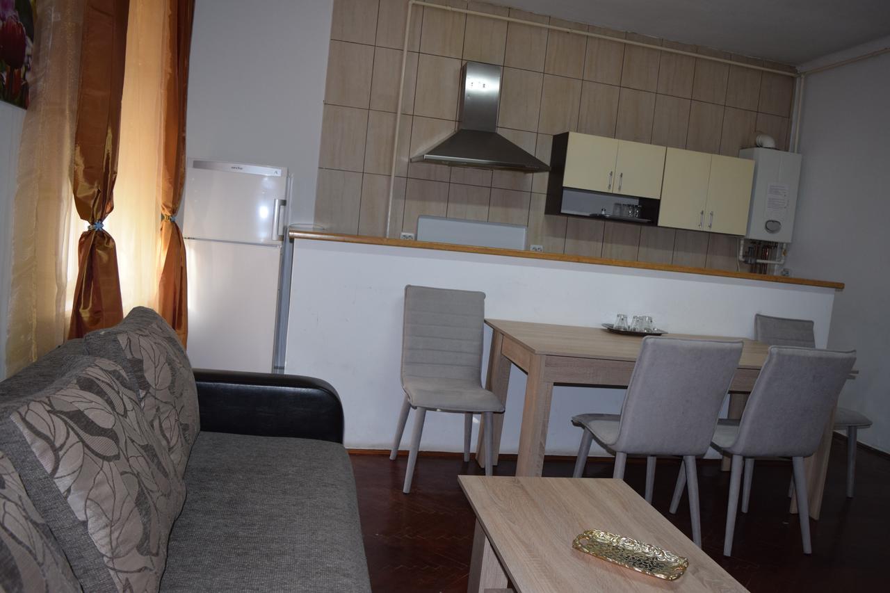 Pension Casa Samurai Braşov Exteriör bild
